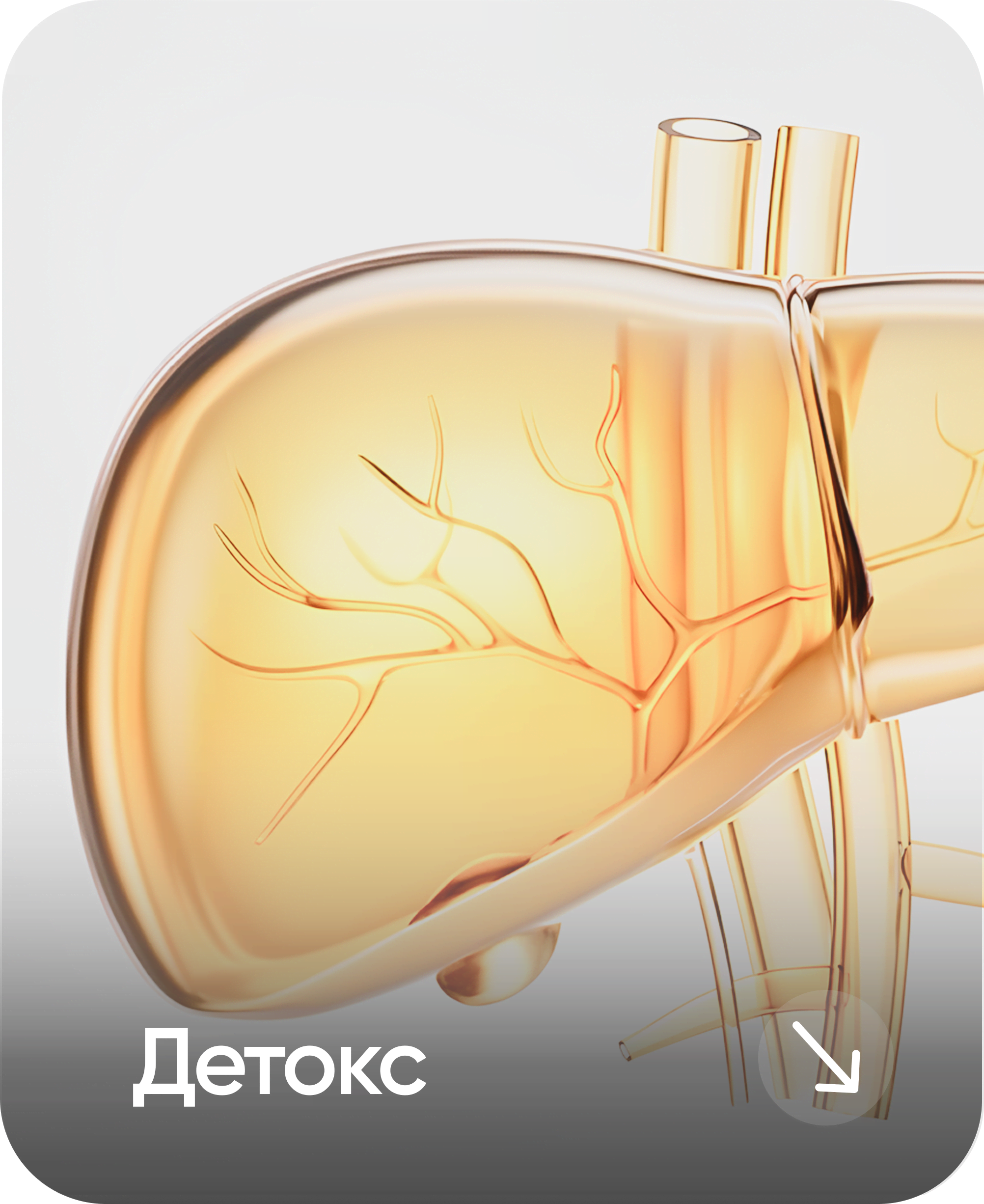 Детокс