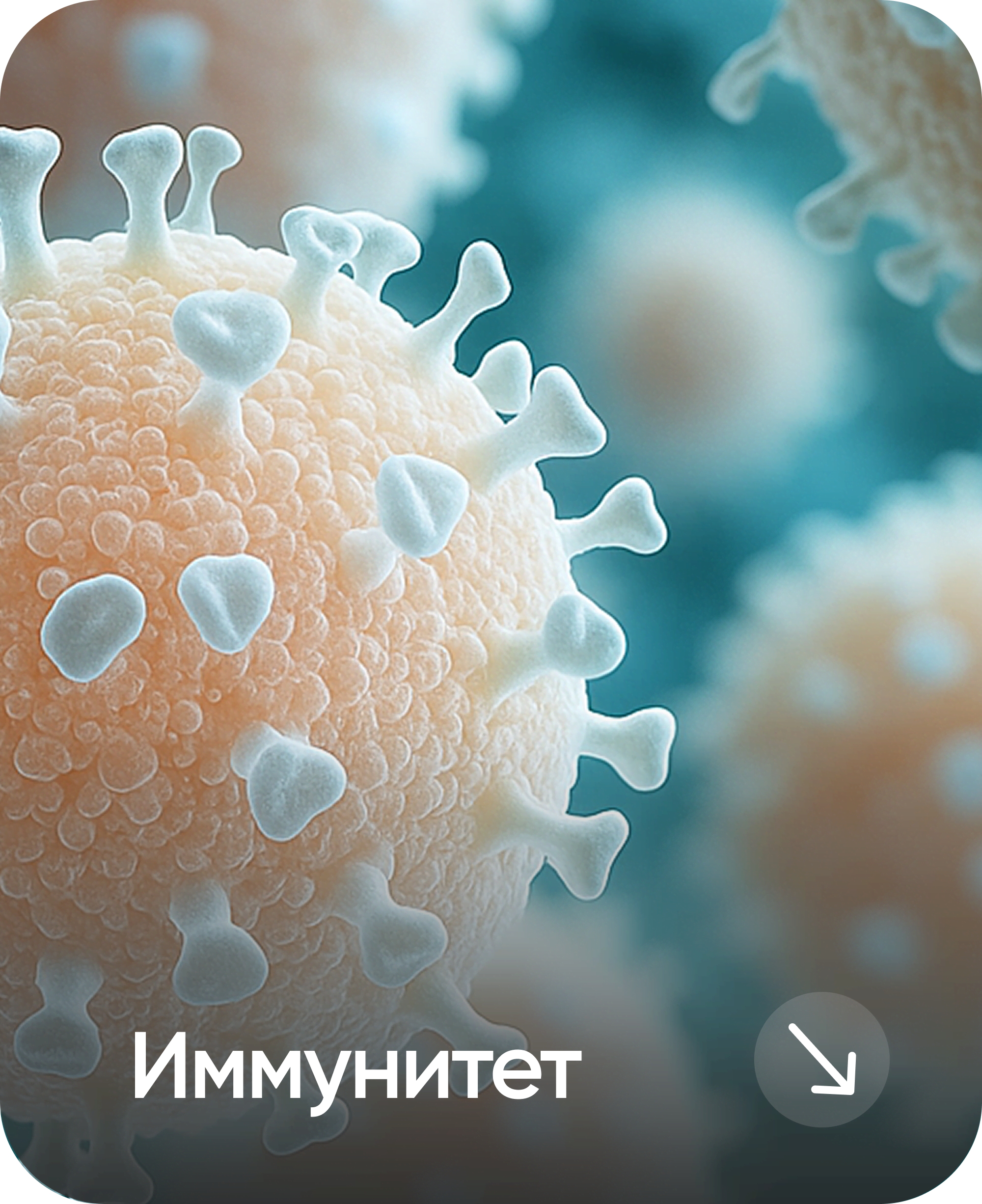Иммунитет