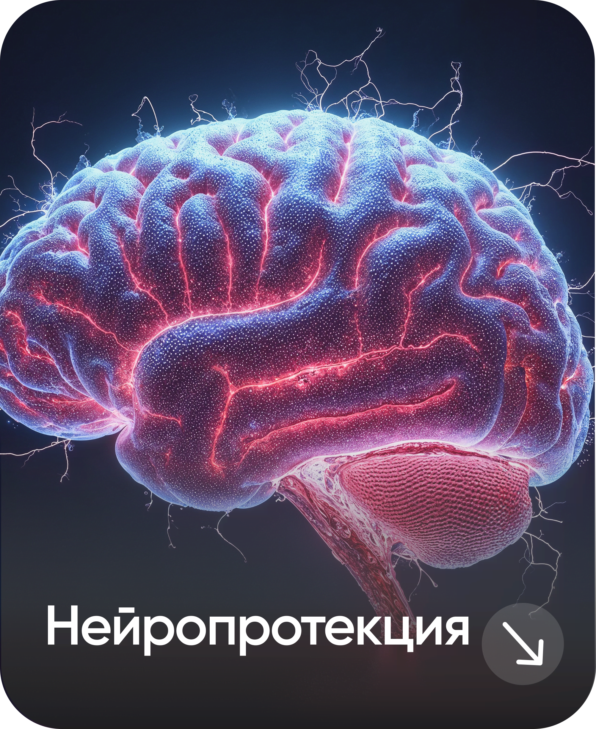 Нейропротекция