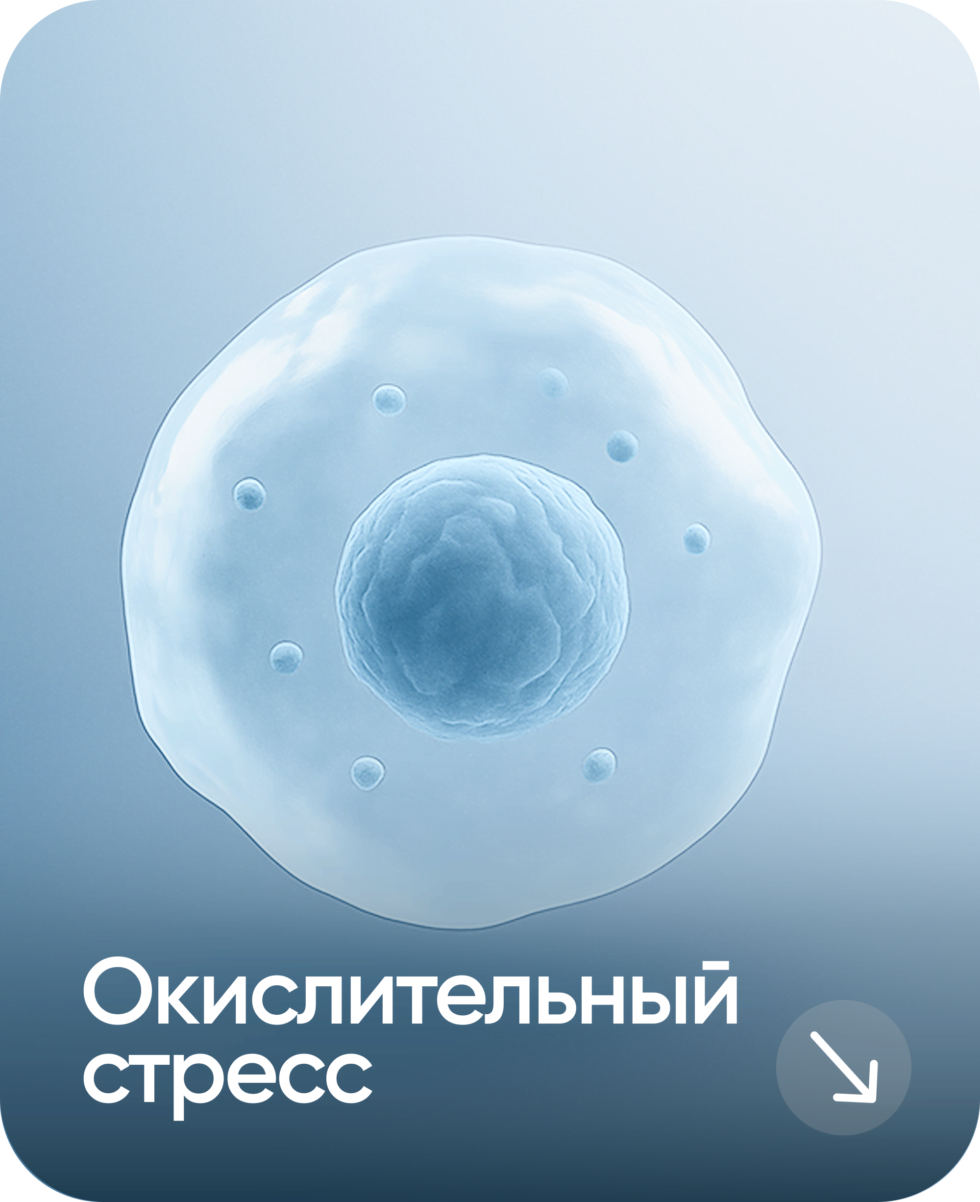 Окислительный стресс