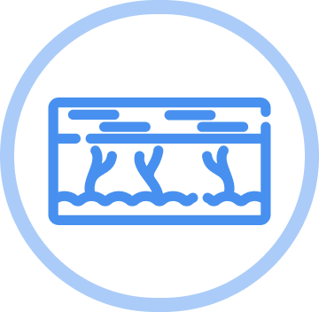 Повышенная биодоступность